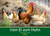 Buchcover Vom Ei zum Huhn. Die Entwicklung von Küken (Wandkalender 2020 DIN A2 quer)
