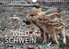 Buchcover Unverwechselbar - Wildschwein (Wandkalender 2020 DIN A4 quer)