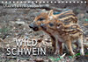 Buchcover Unverwechselbar - Wildschwein (Tischkalender 2020 DIN A5 quer)