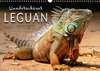Buchcover Wunderschöner Leguan (Wandkalender 2020 DIN A3 quer)