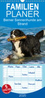 Buchcover Berner Sennenhunde am Strand - Familienplaner hoch (Wandkalender 2020 , 21 cm x 45 cm, hoch)