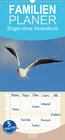 Buchcover Zingst ohne Strandkorb - Familienplaner hoch (Wandkalender 2020 , 21 cm x 45 cm, hoch)