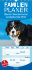 Buchcover Seebärchen entdecken die Welt - Berner Sennenhunde - Familienplaner hoch (Wandkalender 2020 , 21 cm x 45 cm, hoch)