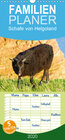 Buchcover Schafe von Helgoland - Familienplaner hoch (Wandkalender 2020 , 21 cm x 45 cm, hoch)