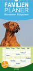 Buchcover Rhodesian Ridgeback 2020 - Familienplaner hoch (Wandkalender 2020 , 21 cm x 45 cm, hoch)