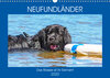Buchcover Neufundländer - Das Wasser ist ihr Element (Wandkalender 2020 DIN A3 quer)