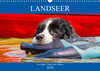 Buchcover Landseer - Ein starker Freund auf 4 Pfoten (Wandkalender 2020 DIN A3 quer)