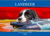 Buchcover Landseer - Ein starker Freund auf 4 Pfoten (Wandkalender 2020 DIN A2 quer)