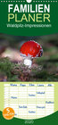 Buchcover Waldpilz-Impressionen - Familienplaner hoch (Wandkalender 2020 , 21 cm x 45 cm, hoch)