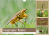 Buchcover Faszination Makro - Die Welt der Insekten (Wandkalender 2020 DIN A4 quer)