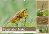 Buchcover Faszination Makro - Die Welt der Insekten (Wandkalender 2020 DIN A3 quer)