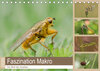 Buchcover Faszination Makro - Die Welt der Insekten (Tischkalender 2020 DIN A5 quer)