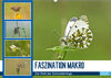 Buchcover Faszination Makro - Die Welt der Schmetterlinge (Wandkalender 2020 DIN A2 quer)
