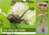 Buchcover Faszination Makro - Die Welt der Käfer (Wandkalender 2020 DIN A4 quer)