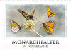Buchcover Monarchfalter in Neuseeland (Wandkalender 2020 DIN A3 quer)