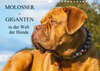 Buchcover Molosser - Giganten in der Welt der Hunde (Wandkalender 2020 DIN A4 quer)