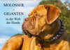 Buchcover Molosser - Giganten in der Welt der Hunde (Wandkalender 2020 DIN A2 quer)