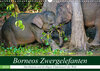 Buchcover Borneos Zwergelefanten (Wandkalender 2020 DIN A3 quer)