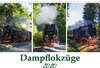 Buchcover Schmalspurbahnen im Harz (Wandkalender 2020 DIN A4 quer)