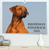 Buchcover Rhodesian Ridgeback 2020 (Premium, hochwertiger DIN A2 Wandkalender 2020, Kunstdruck in Hochglanz)