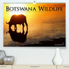 Buchcover Botswana Wildlife (Premium, hochwertiger DIN A2 Wandkalender 2020, Kunstdruck in Hochglanz)