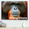 Buchcover Orang-Utans (Premium, hochwertiger DIN A2 Wandkalender 2020, Kunstdruck in Hochglanz)