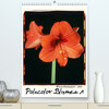 Buchcover Polacolor Blumen 1 (Premium, hochwertiger DIN A2 Wandkalender 2020, Kunstdruck in Hochglanz)