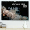 Buchcover unterwasser makro 2020 (Premium, hochwertiger DIN A2 Wandkalender 2020, Kunstdruck in Hochglanz)