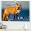 Buchcover Fuchs - schlauer Räuber (Premium, hochwertiger DIN A2 Wandkalender 2020, Kunstdruck in Hochglanz)