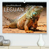 Buchcover Wunderschöner Leguan (Premium, hochwertiger DIN A2 Wandkalender 2020, Kunstdruck in Hochglanz)
