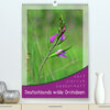 Buchcover Deutschlands wilde Orchideen (Premium, hochwertiger DIN A2 Wandkalender 2020, Kunstdruck in Hochglanz)