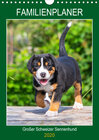 Buchcover Familienplaner Großer Schweizer Sennenhund (Wandkalender 2020 DIN A4 hoch)
