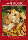 Buchcover Jahresplaner Golden Retriever Welpen (Tischkalender 2020 DIN A5 hoch)