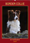 Buchcover Border Collie - Ein Familienplaner (Wandkalender 2020 DIN A2 hoch)