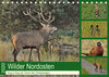 Buchcover Wilder Nordosten - Aug in Aug mit Tieren der Ostseeregion (Tischkalender 2020 DIN A5 quer)