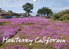 Buchcover Monterey California (Wandkalender 2021 DIN A3 quer)