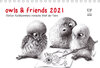 Buchcover owls & friends 2021 (Tischkalender 2021 DIN A5 quer)