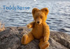 Buchcover Teddy Basse (Wandkalender 2021 DIN A2 quer)