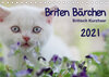 Buchcover Briten Bärchen – Britsch Kurzhaar 2021 (Tischkalender 2021 DIN A5 quer)