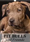 Buchcover Pit Bulls und Freunde (Wandkalender 2021 DIN A4 hoch)