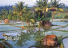 Buchcover Peter Fischer - Bali 2021 (Wandkalender 2021 DIN A4 quer)