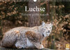 Buchcover Luchse - Europas größte Katzen (Wandkalender 2021 DIN A3 quer)