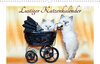 Buchcover Lustiger Katzenkalender (Wandkalender 2021 DIN A3 quer)