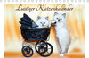 Buchcover Lustiger Katzenkalender (Tischkalender 2021 DIN A5 quer)
