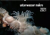 Buchcover unterwasser makro 2021 (Wandkalender 2021 DIN A2 quer)