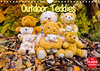 Buchcover Outdoor Teddies (Wandkalender 2021 DIN A4 quer)