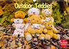 Buchcover Outdoor Teddies (Wandkalender 2021 DIN A3 quer)