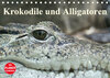 Buchcover Krokodile und Alligatoren (Tischkalender 2021 DIN A5 quer)