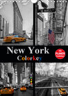 Buchcover New York Colorkey (Wandkalender 2021 DIN A4 hoch)