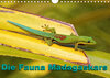 Buchcover Die Fauna Madagaskars (Wandkalender 2021 DIN A4 quer)